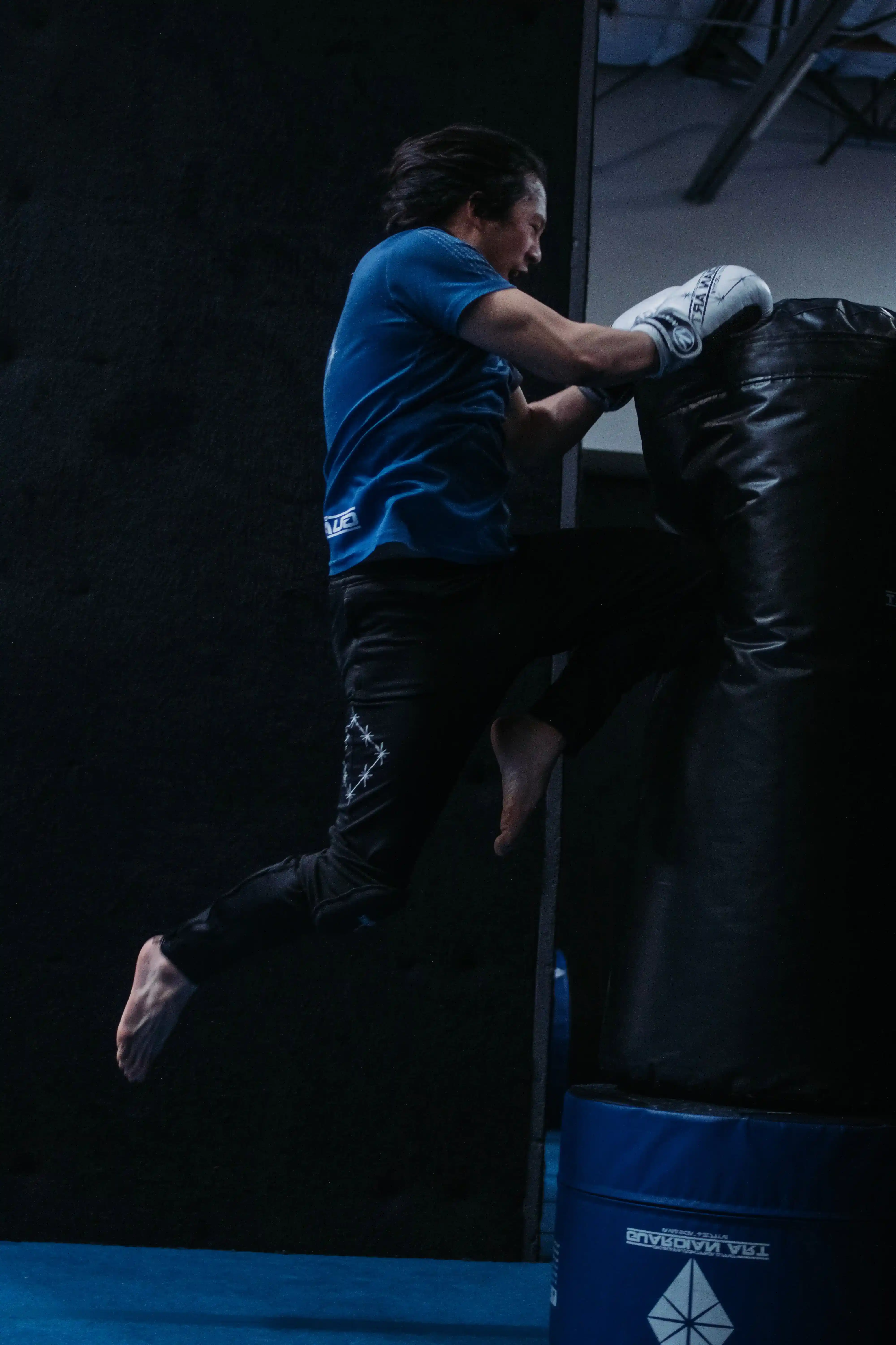 Asian Adult training striking in San Jose